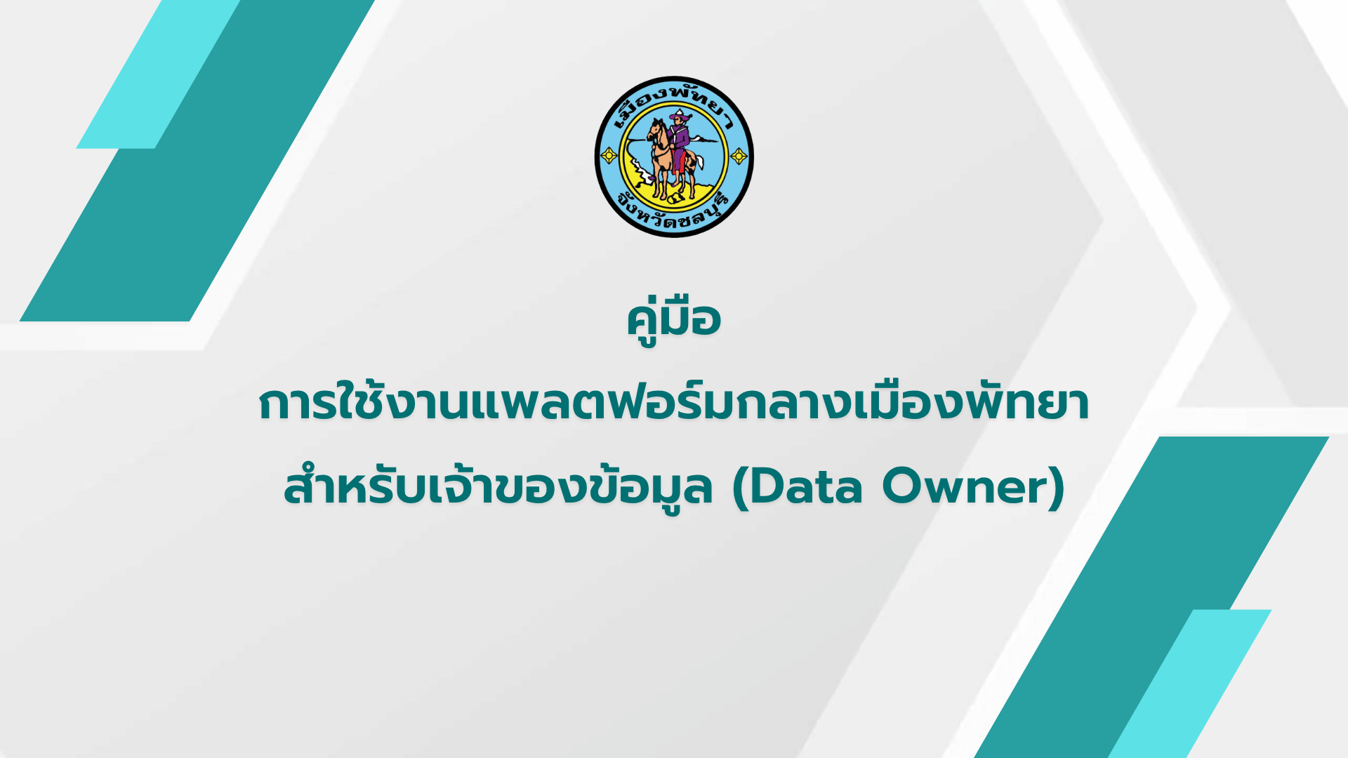 คู่มือสำหรับเจ้าของข้อมูล